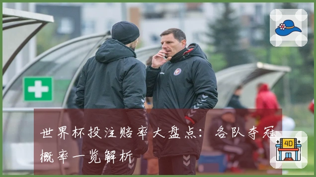 世界杯投注赔率大盘点：各队夺冠概率一览解析