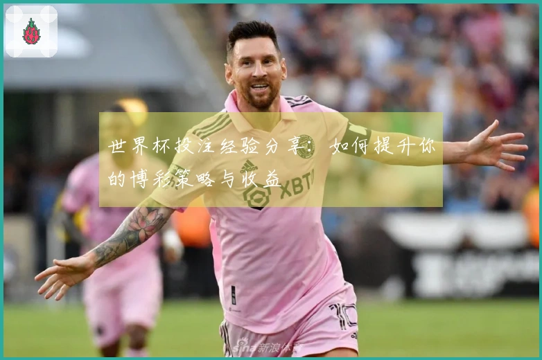 世界杯投注经验分享：如何提升你的博彩策略与收益