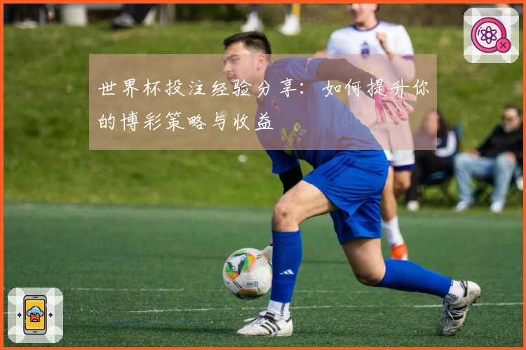 世界杯投注经验分享：如何提升你的博彩策略与收益
