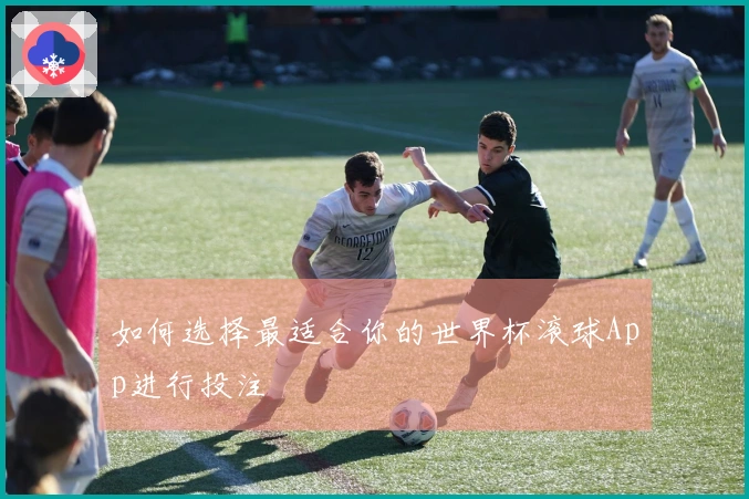如何选择最适合你的世界杯滚球App进行投注