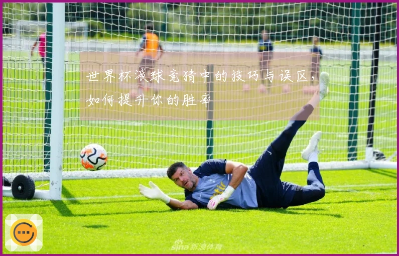 世界杯滚球竞猜中的技巧与误区，如何提升你的胜率