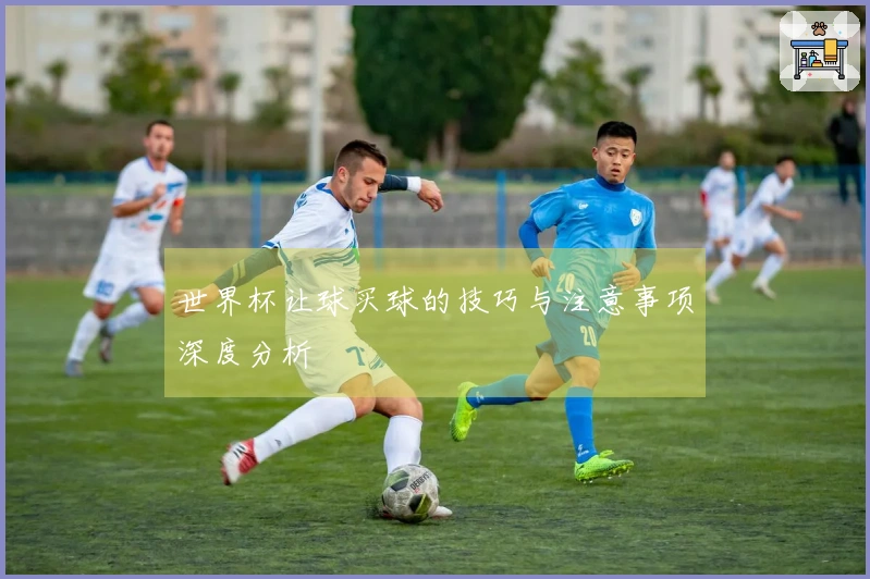 世界杯让球买球的技巧与注意事项深度分析