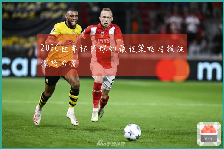 2026世界杯买球的最佳策略与投注技巧分享