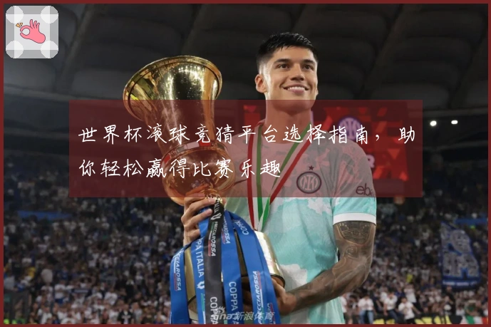 世界杯滚球竞猜平台选择指南，助你轻松赢得比赛乐趣