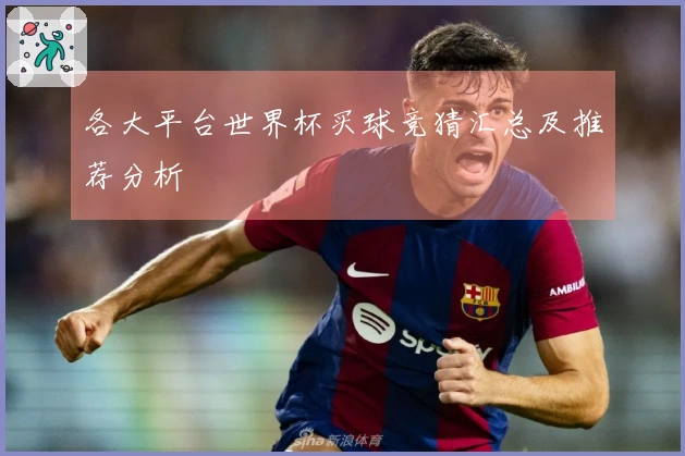 各大平台世界杯买球竞猜汇总及推荐分析