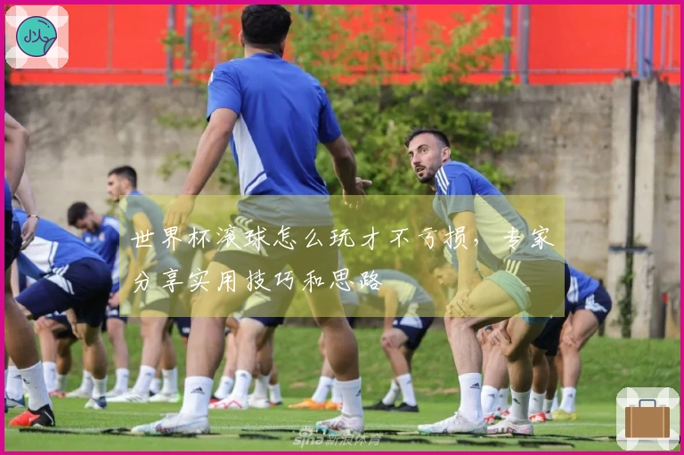 世界杯滚球怎么玩才不亏损，专家分享实用技巧和思路