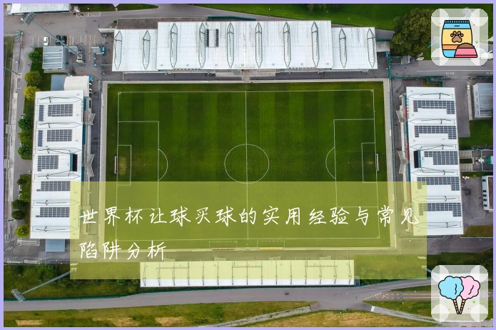 世界杯让球买球的实用经验与常见陷阱分析