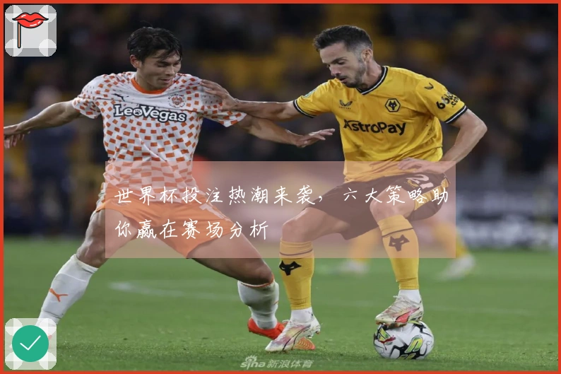 世界杯投注热潮来袭，六大策略助你赢在赛场分析