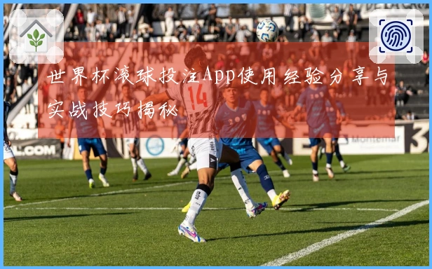 世界杯滚球投注App使用经验分享与实战技巧揭秘