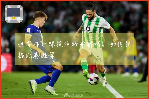 世界杯让球投注赔率解析：如何把握比赛胜算
