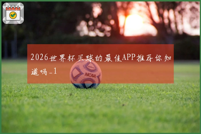 2026世界杯买球的最佳APP推荐你知道吗_1