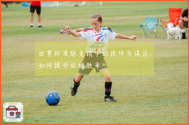 世界杯滚球竞猜中的技巧与误区，如何提升你的胜率